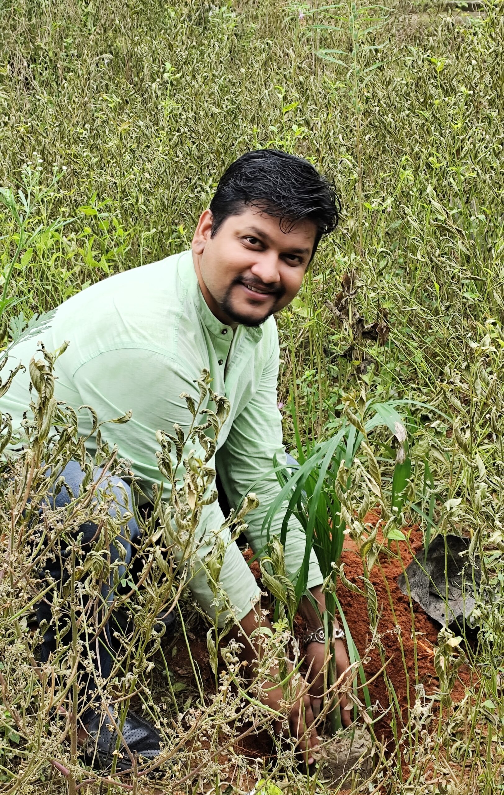 Gardening & Plantation